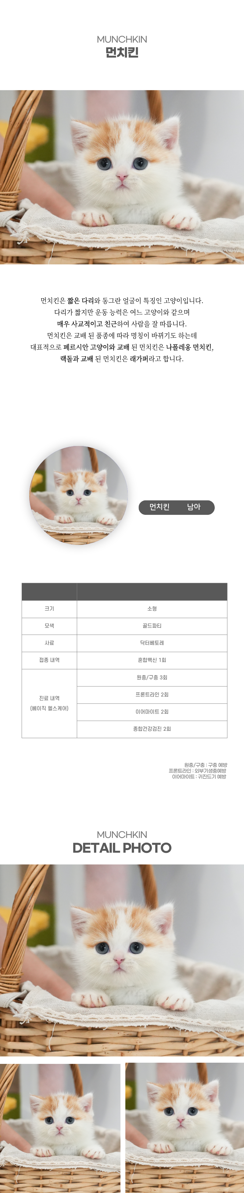먼치킨_상세이미지_2
